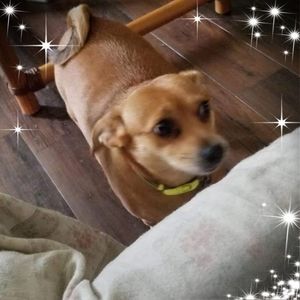 Meet your Posher, Diane